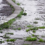 思った以上に正確でびっくりした!突然の雨を予報してくれるiPhoneアプリに感謝